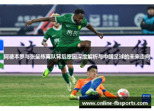 阿德本罗与张呈栋离队背后原因深度解析与中国足球的未来走向